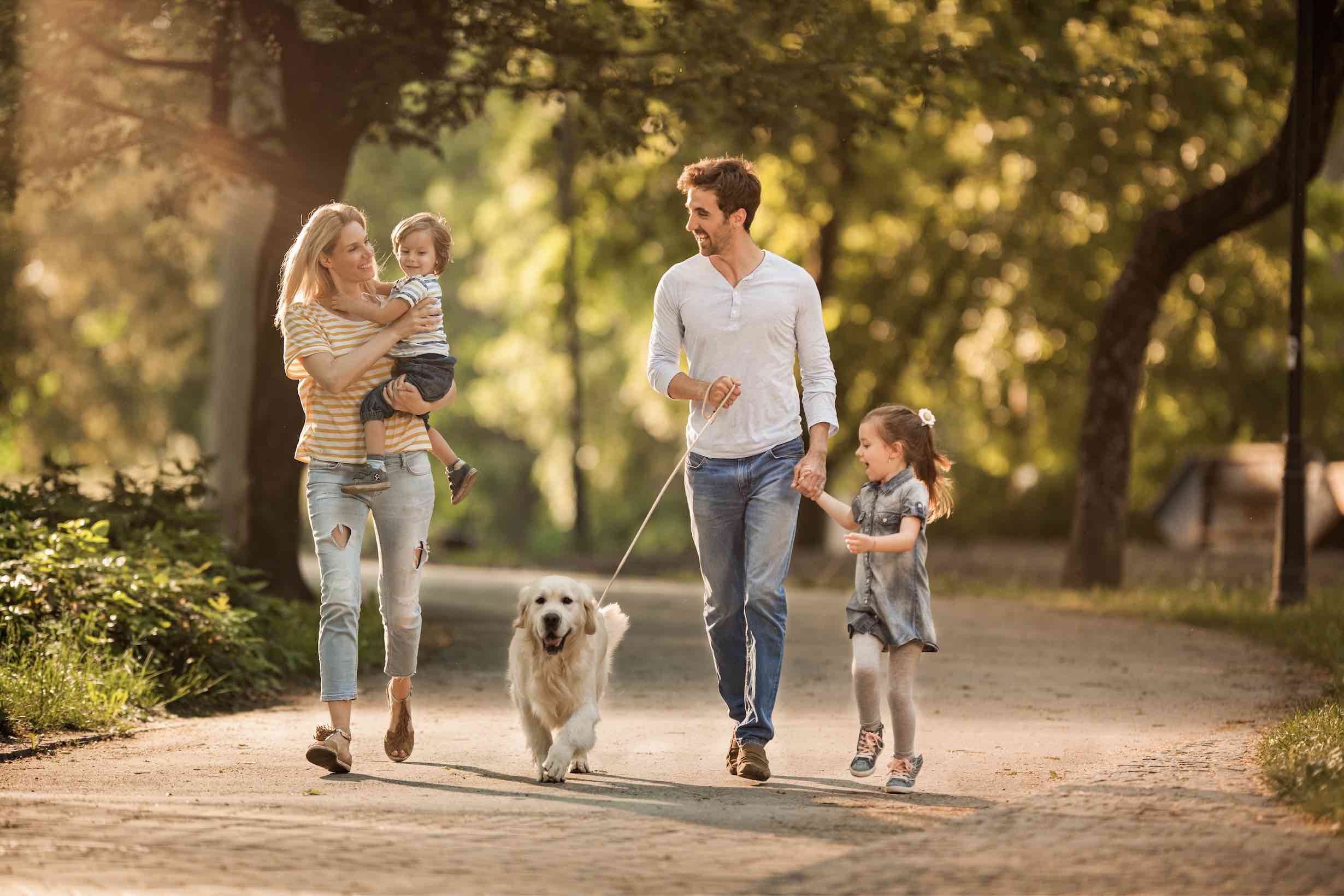 [Land for Sale] Kelly on Lithgow Estate, Beveridge OpenLot